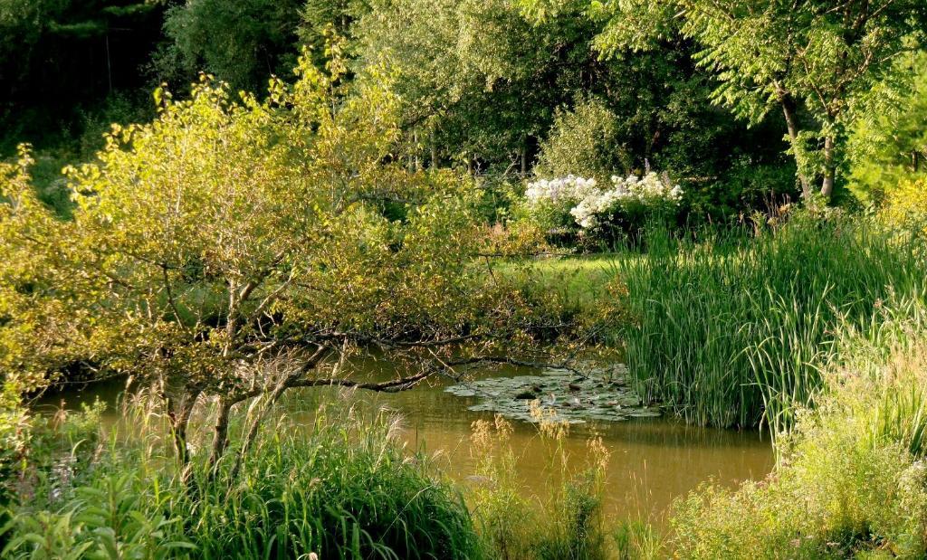 Auberge Restaurant La Mara Saint-Joseph-de-Ham-Sud المظهر الخارجي الصورة